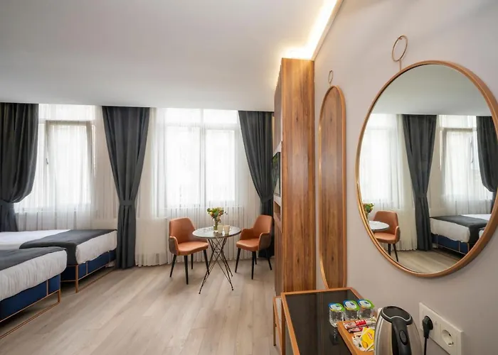 酒店 Seyithan Palace 伊斯坦布尔