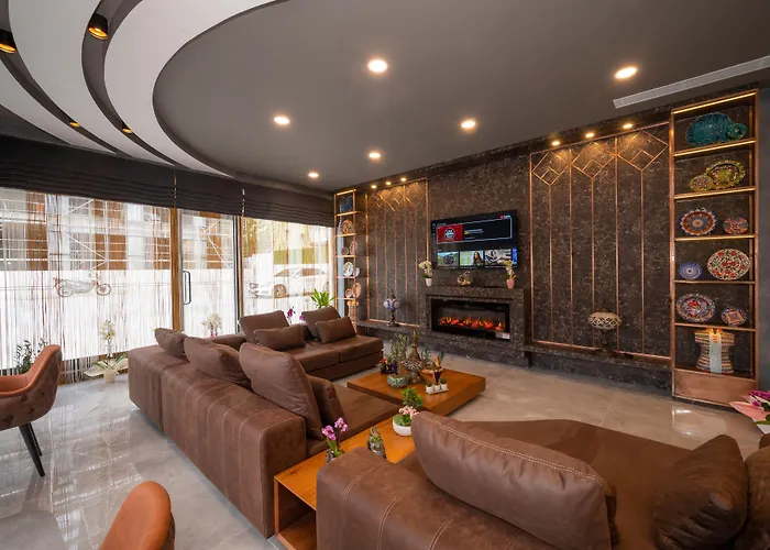 ホテル Seyithan Palace 4*