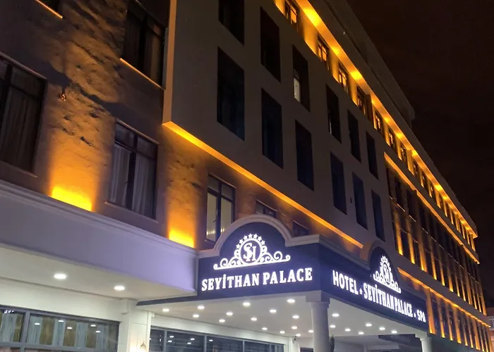 ホテル Seyithan Palace