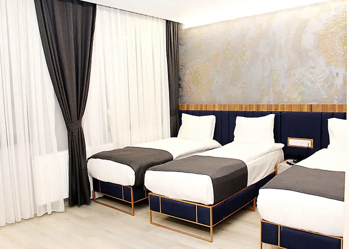 ホテル Seyithan Palace