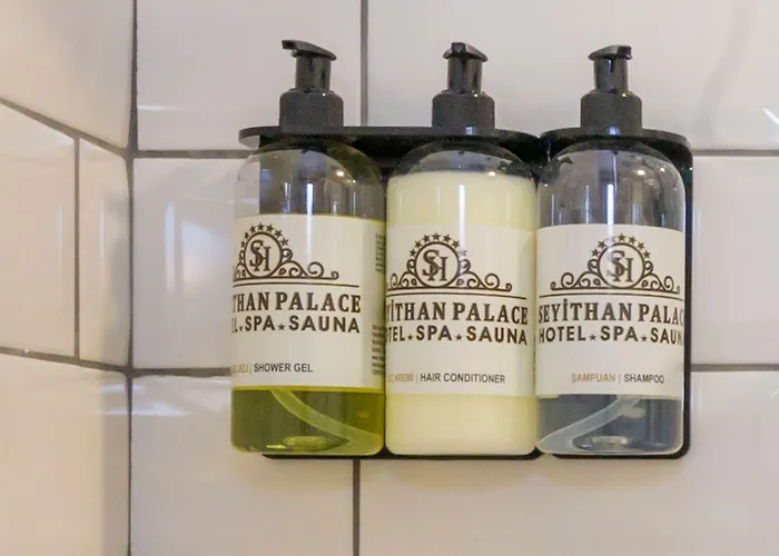 Seyithan Palace ホテル 4*