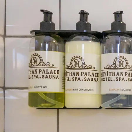 Seyithan Palace Otel 4*