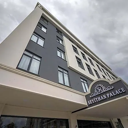 Seyithan Palace Hotel 4*