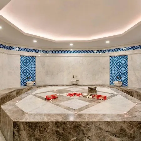 酒店 Seyithan Palace
