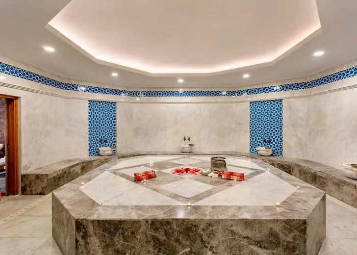 ホテル Seyithan Palace