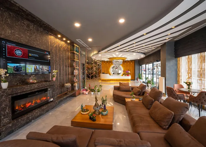 ホテル Seyithan Palace 4*